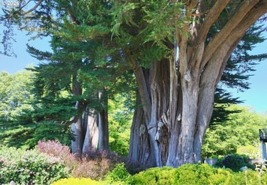 UNOBSTRUCTED OCEAN VIEWS AND PORT OF BROOKINGS VIEWS! This - photo 37