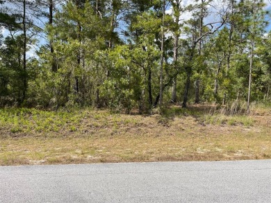 Lake Lot For Sale in Dunnellon, Florida