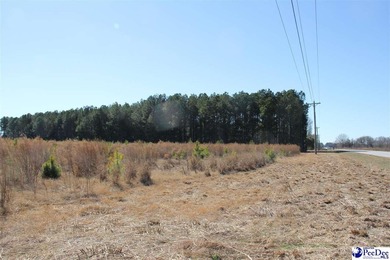 (private lake, pond, coastal) Acreage For Sale in Hartsville South Carolina