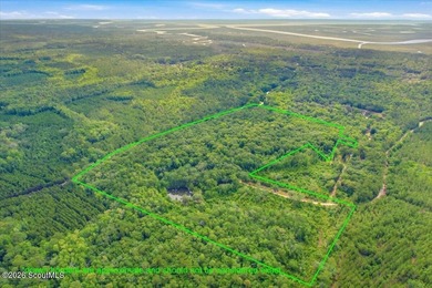 34.99 acres of privacy, possibility, and coastal Georgia beauty - photo 1