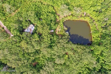 34.99 acres of privacy, possibility, and coastal Georgia beauty - photo 2