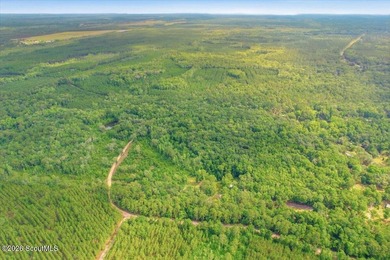 34.99 acres of privacy, possibility, and coastal Georgia beauty - photo 3