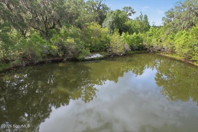 34.99 acres of privacy, possibility, and coastal Georgia beauty - photo 4