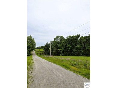 Beautiful 5.50-acre lot with gently rolling hills, a mix of open - photo 4
