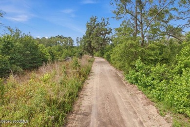 34.99 acres of privacy, possibility, and coastal Georgia beauty - photo 5