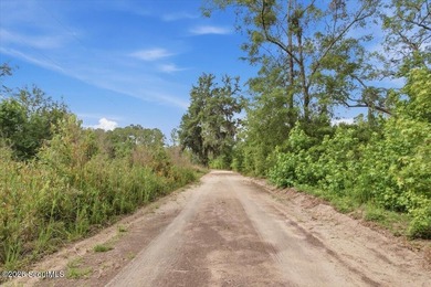 34.99 acres of privacy, possibility, and coastal Georgia beauty - photo 6