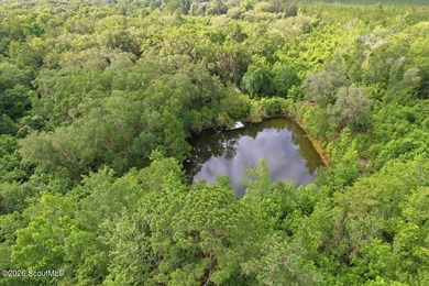 34.99 acres of privacy, possibility, and coastal Georgia beauty - photo 7