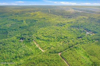 34.99 acres of privacy, possibility, and coastal Georgia beauty - photo 8