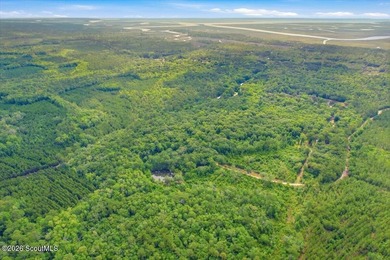 34.99 acres of privacy, possibility, and coastal Georgia beauty - photo 9