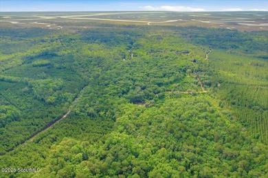 34.99 acres of privacy, possibility, and coastal Georgia beauty - photo 10