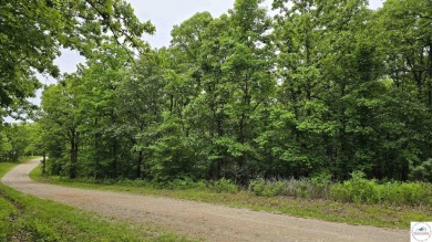 Lake Acreage For Sale in Edwards, Missouri