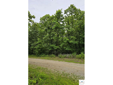 3.50-acre wooded lot with rolling terrain-great spot to build - photo 3