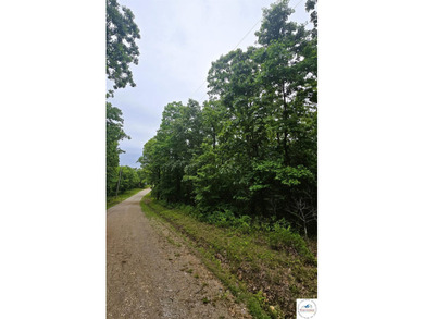 3.50-acre wooded lot with rolling terrain-great spot to build - photo 4