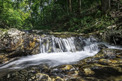 (private lake, pond, creek) Acreage For Sale in Glenwood Arkansas
