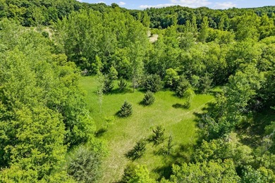Beautiful 4.20 acre wooded lot near Lake Francis in South Haven - photo 10