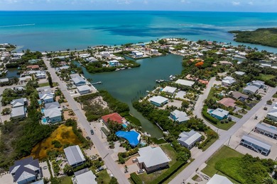 Welcome to 499 Avenida Primiceria in Marathon FL. This unique - photo 42