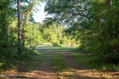 Nearly 5 acres of private lakefront property just off Exit 29 - photo 3