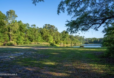 Nearly 5 acres of private lakefront property just off Exit 29 - photo 4