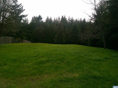 Nice level lot easy to build on where your backyard is next to - photo 1