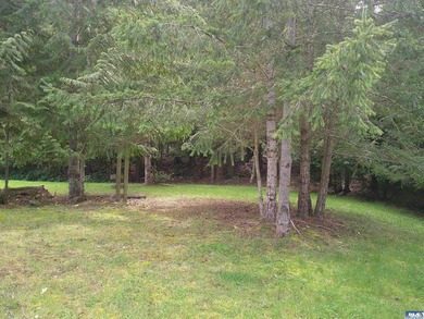 Nice level lot easy to build on where your backyard is next to - photo 2