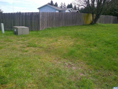 Nice level lot easy to build on where your backyard is next to - photo 3