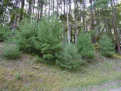 (private lake, pond, coastal) Lot For Sale in Piney Creek North Carolina