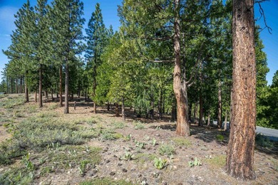 Beautiful .61-acre parcel set within the stunning community of - photo 3
