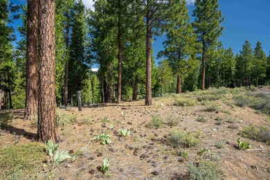 Beautiful .61-acre parcel set within the stunning community of - photo 4
