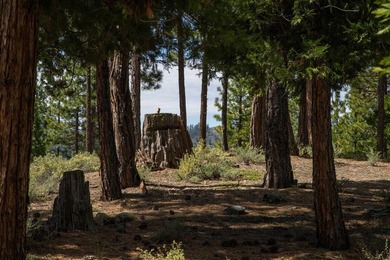 Beautiful .61-acre parcel set within the stunning community of - photo 8