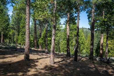 Beautiful .61-acre parcel set within the stunning community of - photo 9