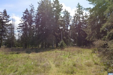 Discover the perfect opportunity to build your dream home in - photo 1