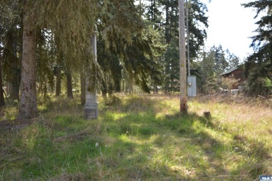 Discover the perfect opportunity to build your dream home in - photo 4