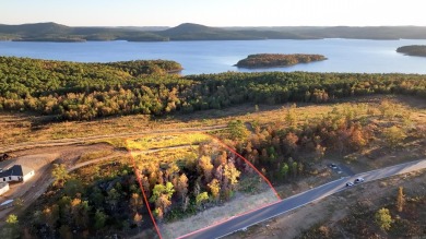 Lake Lot For Sale in Roland, Arkansas