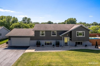 (private lake, pond, creek) Home For Sale in Hinckley Illinois