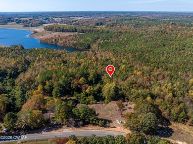 10 acres waterfront lot on Lake Halford in Huntingdon TN. This - photo 3