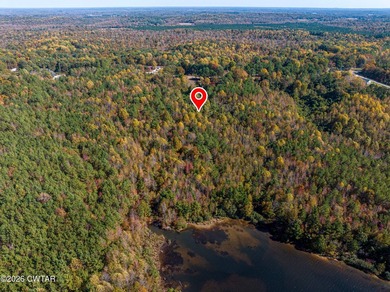 10 acres waterfront lot on Lake Halford in Huntingdon TN. This - photo 5