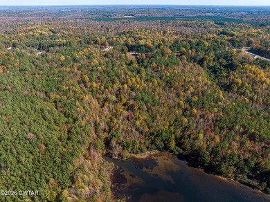 10 acres waterfront lot on Lake Halford in Huntingdon TN. This - photo 6