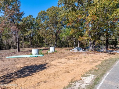 10 acres waterfront lot on Lake Halford in Huntingdon TN. This - photo 9