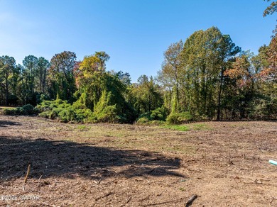 10 acres waterfront lot on Lake Halford in Huntingdon TN. This - photo 10