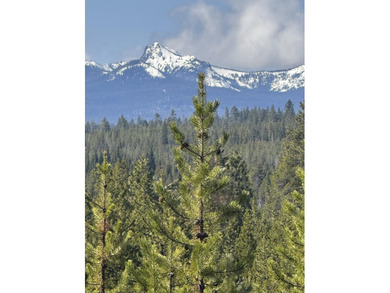 Crescent Lake - Klamath County Lot For Sale in Crescent Lake Oregon