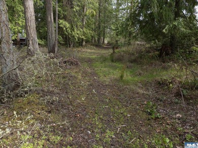 Make your building dreams come true in Sequim. Central to - photo 1