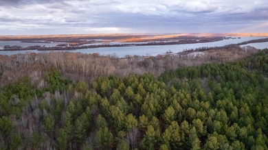 Tennessee River - Benton County Acreage For Sale in Holladay Tennessee