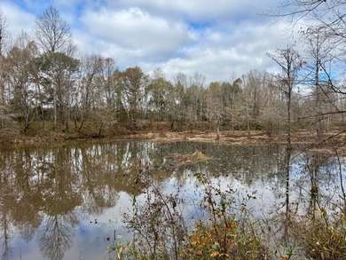 Additional listing photo 4