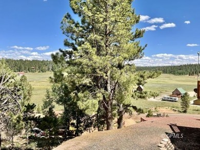 Navajo Lake Lot For Sale in Duck Creek Village Utah