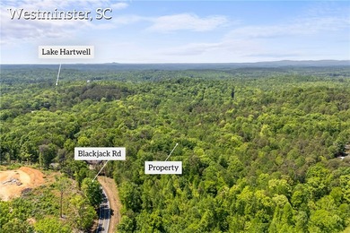 Lake Hartwell Lot For Sale in Westminster South Carolina