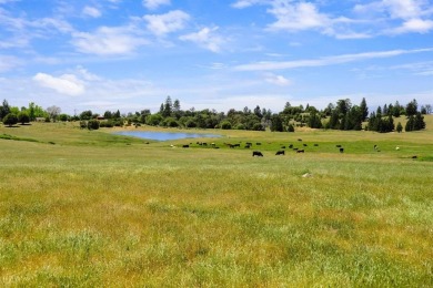 (private lake, pond, creek) Acreage For Sale in Julian California