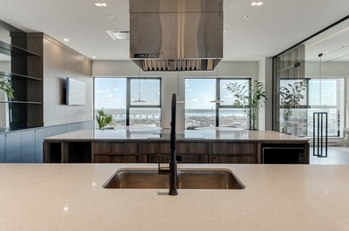 ODEA seduit au premier regard avec son entree architecturale - photo 15
