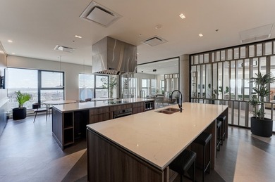 ODEA seduit au premier regard avec son entree architecturale - photo 16