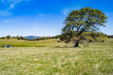 3510 Deer Lake Park Rd - photo 8