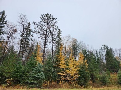 Ogema Millpond Lot For Sale in Ogema Wisconsin